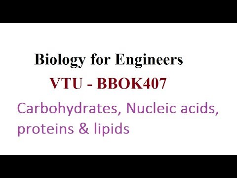 Biology for Engineers, Module 1, Properties and functions of Biomolecules #vtu #biologyforengineers
