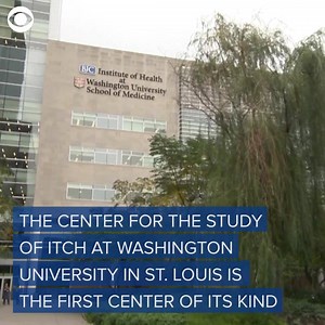 7.6K views · 24 reactions | Have you ever had an unbearable itch that wouldn't go away? There is a center in St. Louis where researchers are studying chronic itch, and they are getting closer to finding answers for desperate patients. | WJZ-TV | CBS Baltimore | Facebook