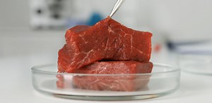 Italy is set to ban lab-grown meat – here’s why it should think again