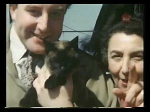 Living Famously: Peter Sellers (2003 documentary)