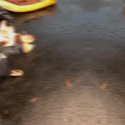 Barbecue sandwiches = the perfect lunch break. Juicy brisket BBQ sandwich ✔️ Classic pulled pork BBQ sandwich ✔️ Smoked low & slow, stacked high, and packed with flavor — the kind of lunch that gets you through the rest of the workday 💪🔥 👉 TODAY’S DEALS: • Senior Day: 10% OFF for seniors • Kids Eat FREE with the purchase of an adult meal Back to work satisfied, not starving. #bbq #phoenixfood #brisket #lunch #food