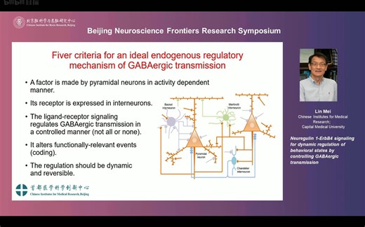 NRG1-ErbB4 signaling for dynamic regulation of behavioral states by controlling