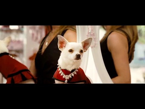 Beverly Hills Chihuahua (2008)
