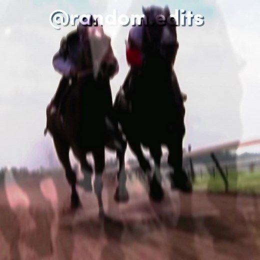 Ruffian: The Legendary Champion of Horse Racing