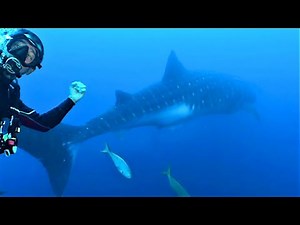 Scuba diver plays epic prank on his buddy 70 feet beneath the waves