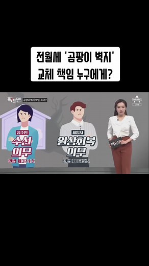 전월세 곰팡이 벽지 교체 책임, 누구에게 있을까?