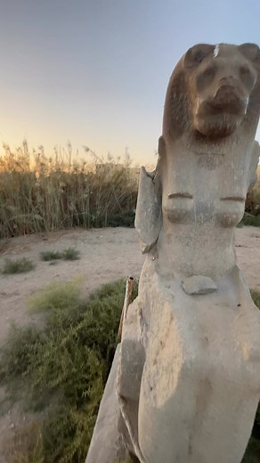 377 reactions · 23 shares | Sekhmet: The Hidden Statues at Karnak Temple #sekhmet #sekhmetrising #sekhmetthegoddess }ancientegyptGoddess #egyptiangoddess #ancientEgypt #egyptology #ancientegyptblog #ancientegyptian #archaeology #hieroglyphics #egitto #이집트 #hieroglyphs #egyptianhistory #anticoegitto #ancienthistory #egyptologist #egyptianmythology #moonknight #moonknightedit | Anyextee | Facebook