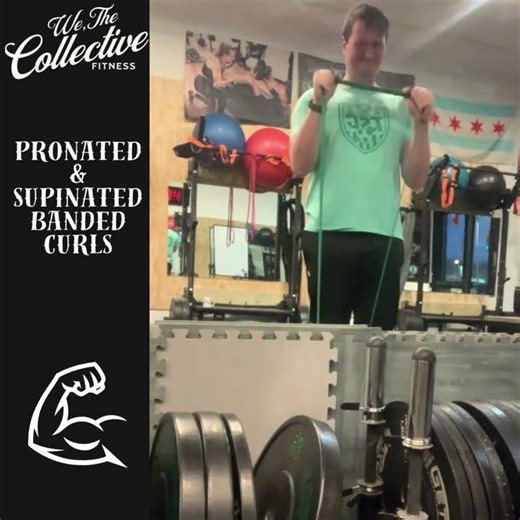 Better Biceps: Pronated vs. Supinated Curls 🧱