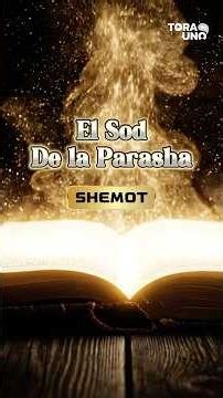 The Sod of the Parasha ✨ SHEMOT - “Raising the 4 levels”