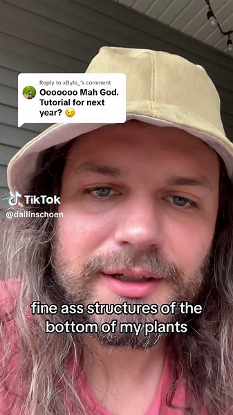 TikTok - Make Your Day