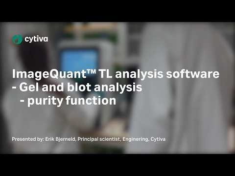 ImageQuant™ TL Tutorial – Gel & blot analysis – purity function