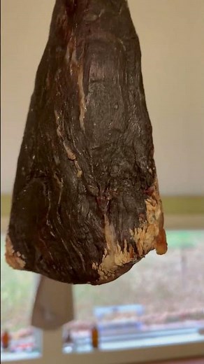 Salt cured meat troubleshooting