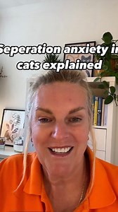 Did you know that cats can experience separation anxiety too? Feline behaviorist Amanda Campion shares her top tips 🐈 📹 @kittysittycatbehaviourist #catlover #catmom #catdad | Beastly Show