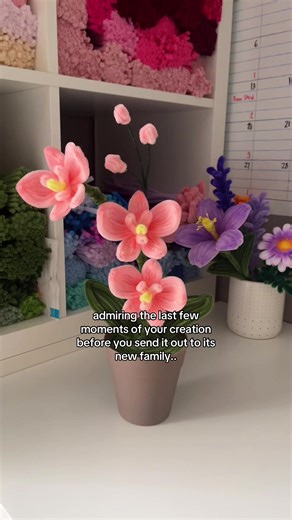 Growing Orchids: Care Tips and Techniques