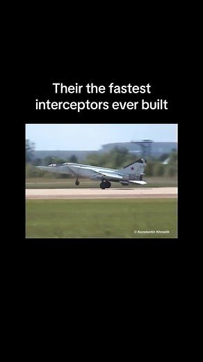 Tiger 131 (@official_tiger_131)’s videos with