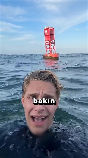 özel sahneler (@faiq.670)’s video of dog fish