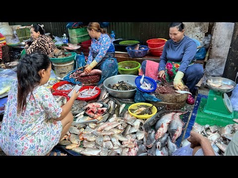 Daily Cambodian Fresh Market - Routine & People Lifestyle, Hardworking, Affordable Prices, Freshness