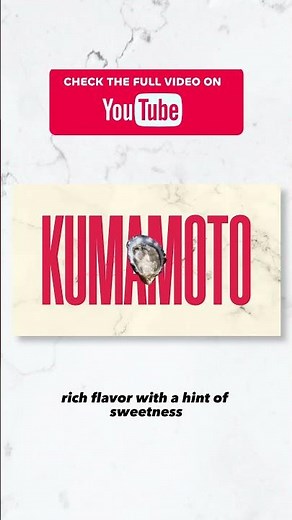 A Guide to the Different Types of Oysters