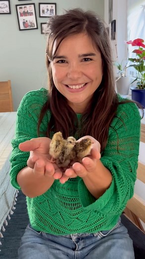 Annika Preil on Instagram: "POV: es gehört zu deinem Job, mit süßen kleinen Tierbabys zu kuscheln🥰 Wer würde auch gerne mal? Was meint ihr? Was sind das für Küken? #ilovemyjob #annaunddiehaustiere #animalsofinstagram #küken #cutenessoverload #babyquail #quail #chick"