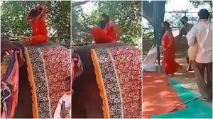 Ramdev is fine, says spokesperson after yoga guru falls off elephant