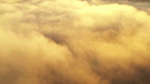 Aerial View Spring Green Forest Early Stock Footage Video (100% Royalty-free) 1104318149 | Shutterstock