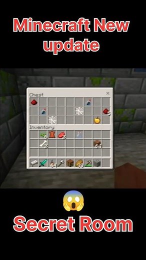 Secret Room in Minecraft 1.21 You Never Noticed Secret Room Discovere#minecraftupdate#chasetheskies