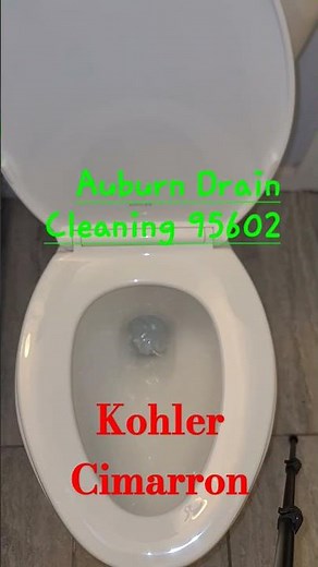Testing The Toilet Flush on a Kohler Cimarron Toilet