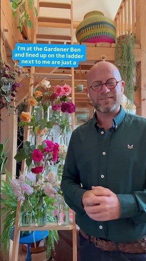 My 20 most recommended roses for growing in shade watch the collection now #gardenerben