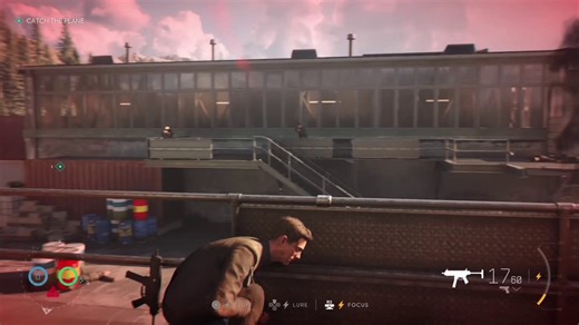 Respectfully, this looks like poo from a butt