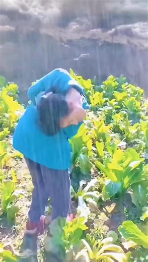 65K views · 7.6K reactions | #disabledtiktoker #disabledcats #disabledtiktok #disabledcat #disable... | Kilponga12 | Facebook