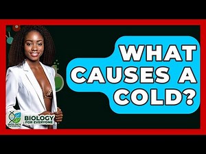 What Causes A Cold? - Biology For Everyone