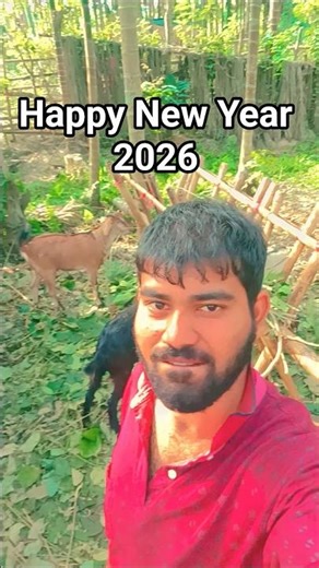 #shorts #youtubeshorts #magahisong #ashishyadav Chupchap Kingfisher Vs Blender Chap