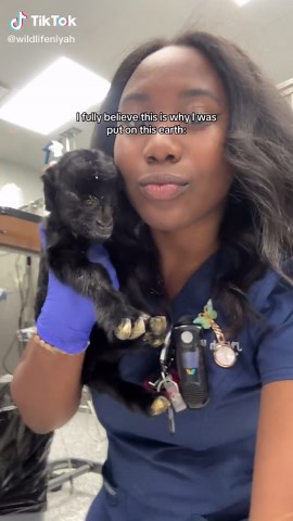 Wildlife Rescue Insights from Kids Watching Animal Planet