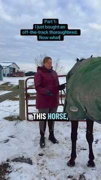 Part 1: Follow along my journey as a USDF Certified Instructor as I restart my young OTTB gelding.