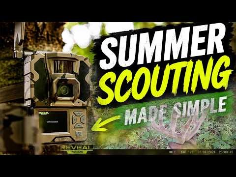 Summer Trail Camera Tips That ACTUALLY Work