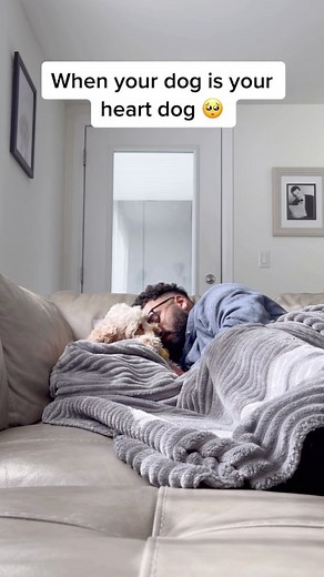 Luna The Mini Cockapoo on Instagram: "She knew with that smile 🥹❤️ #puppylove #doglover"