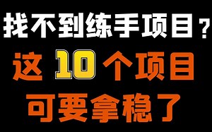 【C/C   新手练手项目】学C小白想要试做项目？这10个赶紧抓住