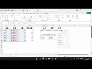How to use the FILTER function
