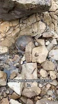 Civil War Exploding Cannonball Found In Riverbed! #relichunting #cannonball #archaeology #mudlarks