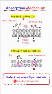 Drug Absorption Mechanism | د درملو د جذب مېکانېزم تشریح | د فارمسي او طب محصلینو لپاره #medicalstudents #AfghanStudents #pharmacology #pashtolectures | Med Mentor - Hikmat Ullah Ammar