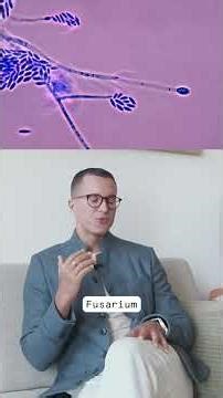 Mycotoxin Testing: A Missing Link in Chronic Health