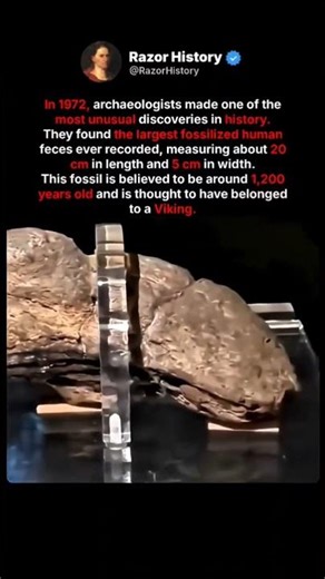 The largest human feces in the history! #history