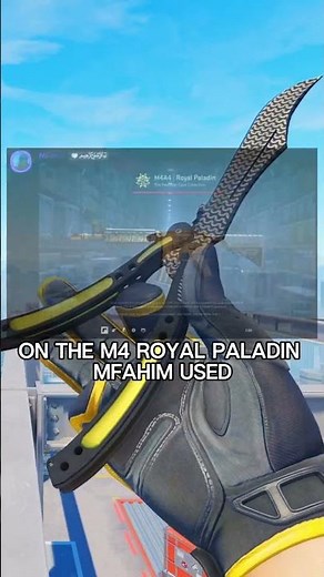 USP Royal Guard x M4 Royal Paladin Sticker Crafts | #cs #cs2 #crafts #update