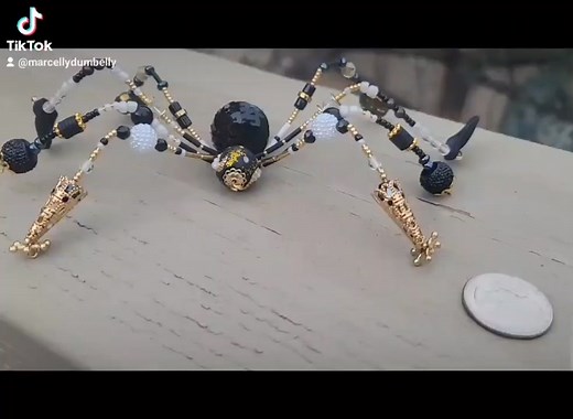 spidersR'us on TikTok