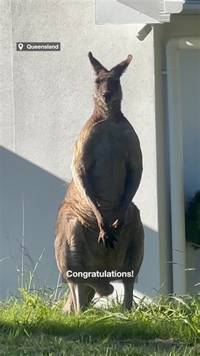 Just another day in Australia! | News.com.au