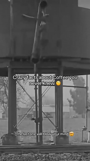 718K views · 15K reactions | Crazy facts about coffie,Did you know these? #fyp #history #historytok #HistoryTime #coffee #fblifestyle | dose.history | Facebook