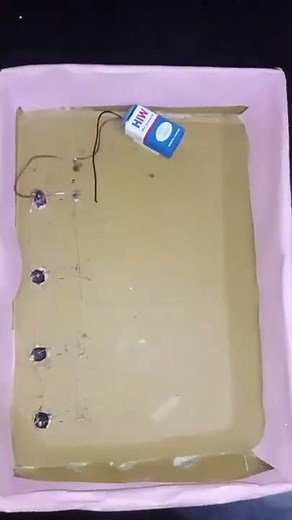 EVM working model. Circuit pic also shown