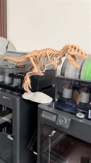 3D printed T. rex Skeleton . . . . . . . . . . . #fyp #3dprinttok #fypviral #3dprinted #jurassicpark #trex #bambulab #3dprinted