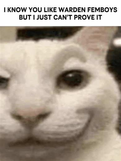 Foxhole Meme Compilation 6 #femboy #foxhole #trending #gaming #foxholeair