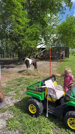 As the golden sun rises over our homestead, I strap baby brother snug in the backpack, watch big sister zoom ahead in her little green John Deere, and head out with Tyson for our joyful morning chores — feeding horses, greeting the llama, and soaking in the simple magic of farm life together.